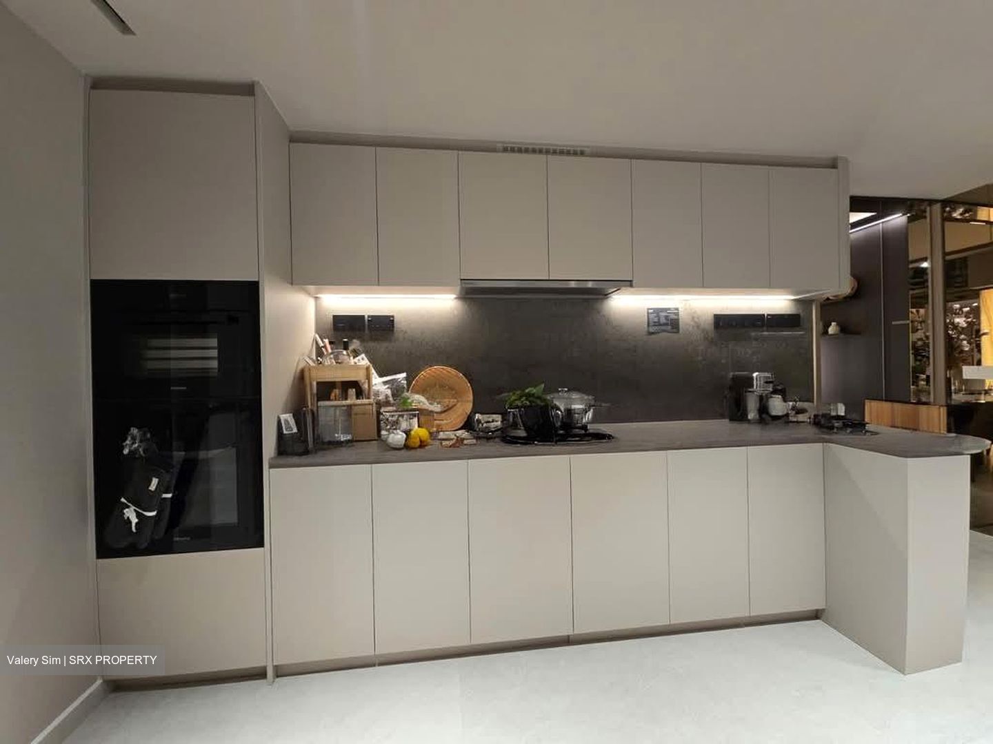 Zion Road (D10), Condominium #564186181